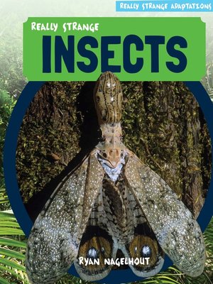 cover image of Really Strange Insects